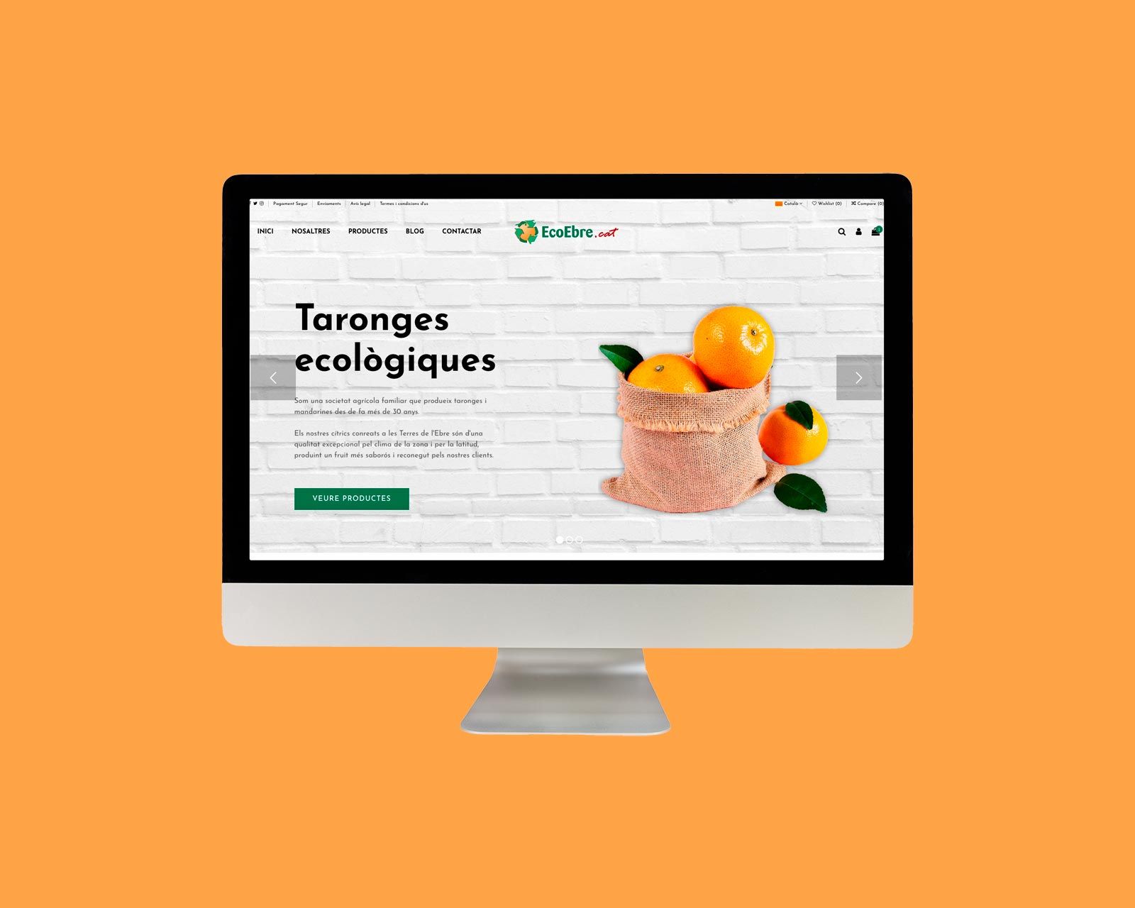 seo-y-diseño-web-de-ecoebre-cat-marc-cliville-mcm-marketing-digital-2