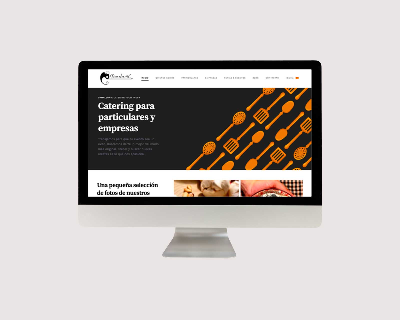 1-diseño-web-wordpress-damaleonic-terrassa