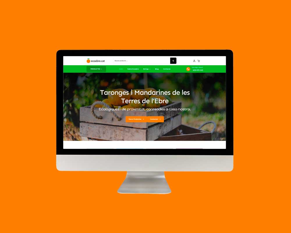 diseno-web-para-ecoebre